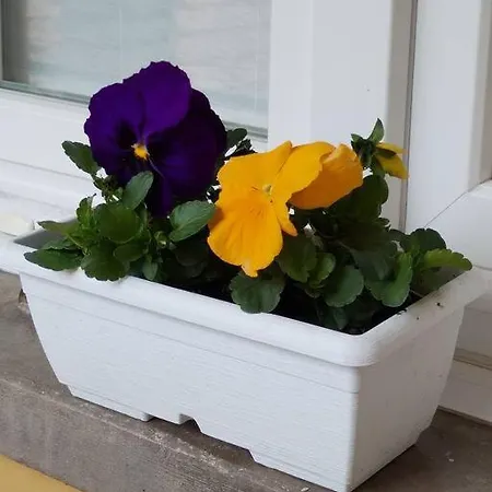 La Casa Al In Centro Storico * Omegna