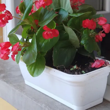 La Casa Al In Centro Storico